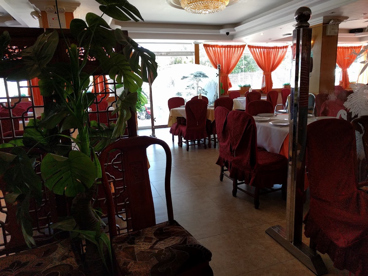 Bar Restaurant Dragon China